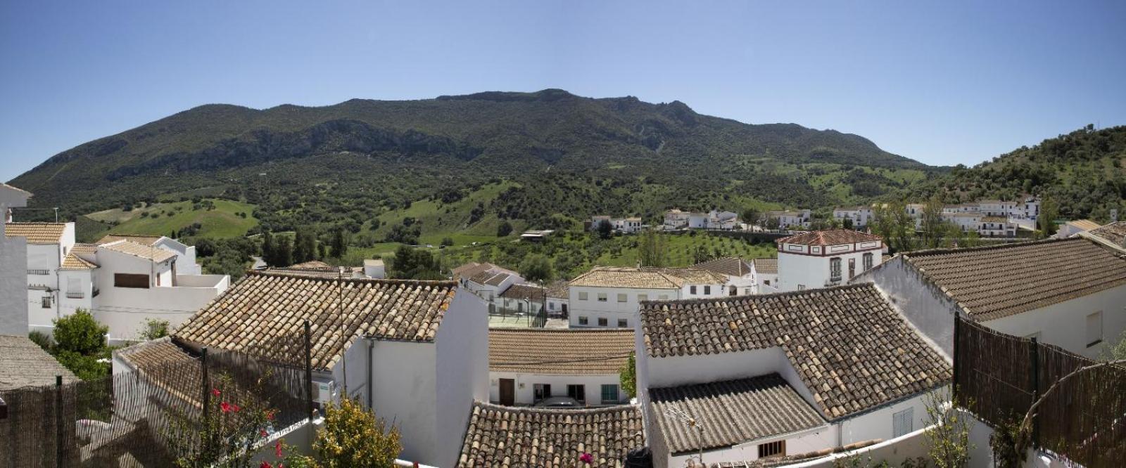 La Posada De La Muela Algodonales Εξωτερικό φωτογραφία